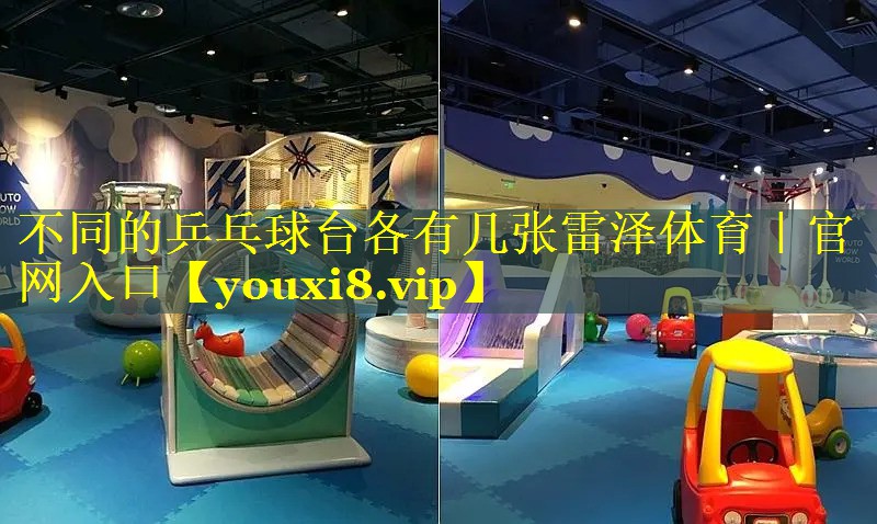 不同的乒乓球台各有几张雷泽体育｜官网入口