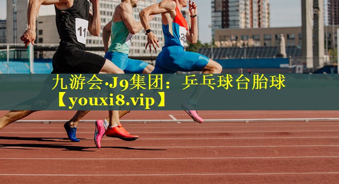 乒乓球台胎球